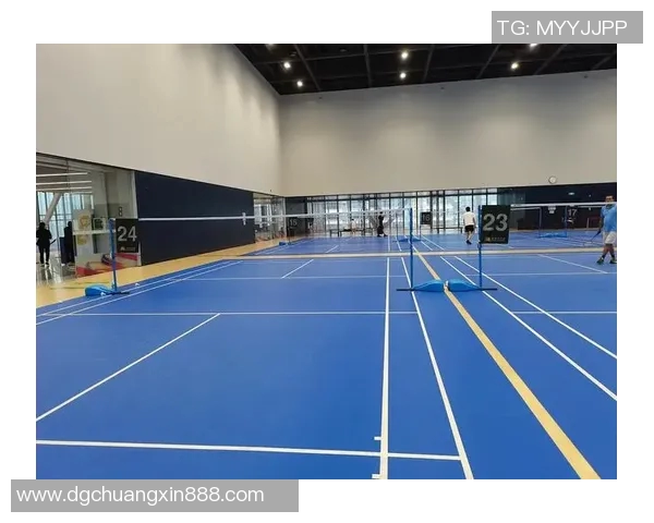 深圳羽毛球队在洲际杯中的比赛经验与表现分析