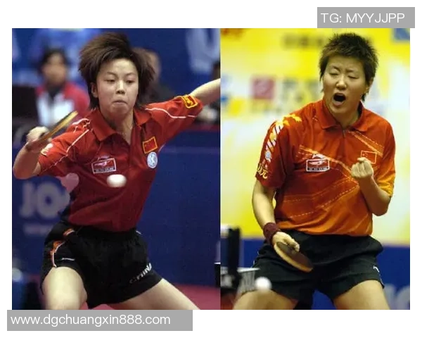 杭州乒乓球队在世界杯预选赛中的战术分析与表现评估 杭州乒乓球队在世界杯预选赛中的战术分析与表现评估