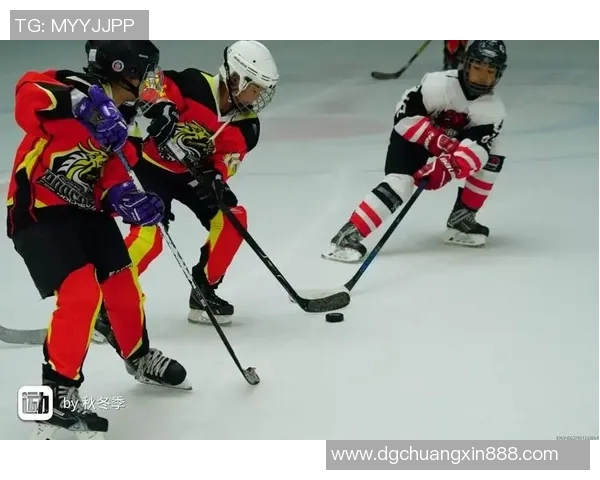 深入探讨北京羽毛球队技术特点与其他球队的差异分析 深入探讨北京羽毛球队技术特点与其他球队的差异分析