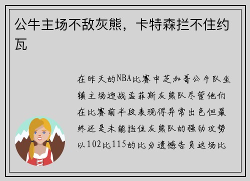 公牛主场不敌灰熊，卡特森拦不住约瓦